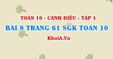 Bài 8 trang 61 SGK Toán 10 tập 1 Cánh Diều